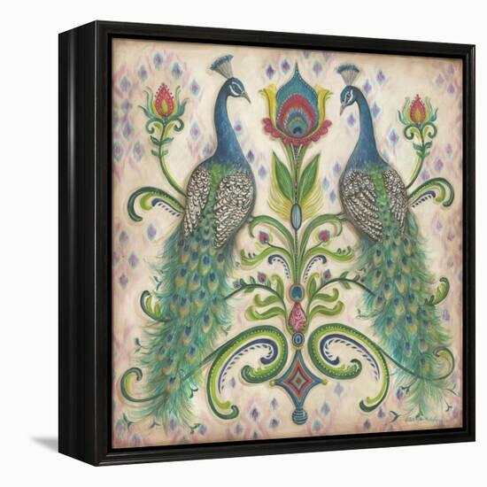 Feathered Splendor II-Kate McRostie-Framed Stretched Canvas