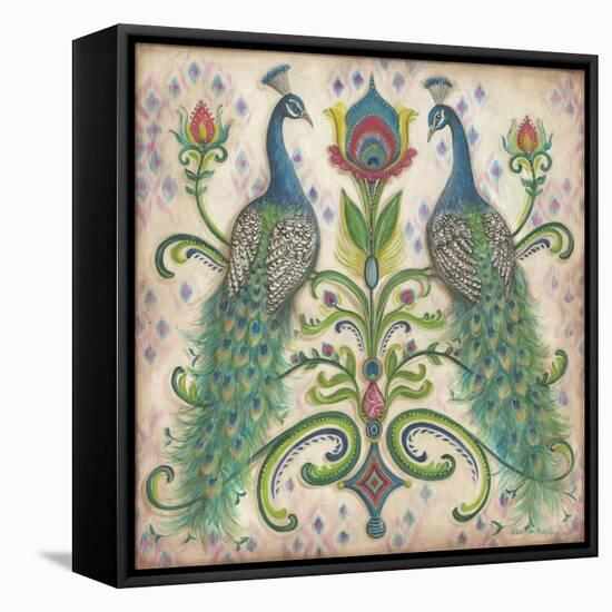 Feathered Splendor II-Kate McRostie-Framed Stretched Canvas