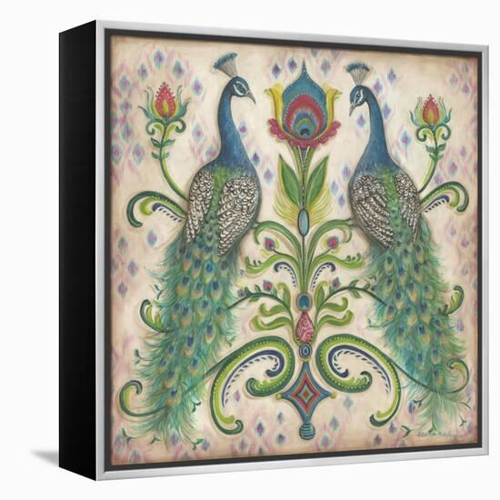 Feathered Splendor II-Kate McRostie-Framed Stretched Canvas