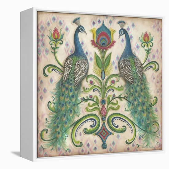 Feathered Splendor II-Kate McRostie-Framed Stretched Canvas