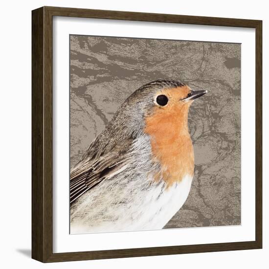 Feathered V-Anna Polanski-Framed Art Print