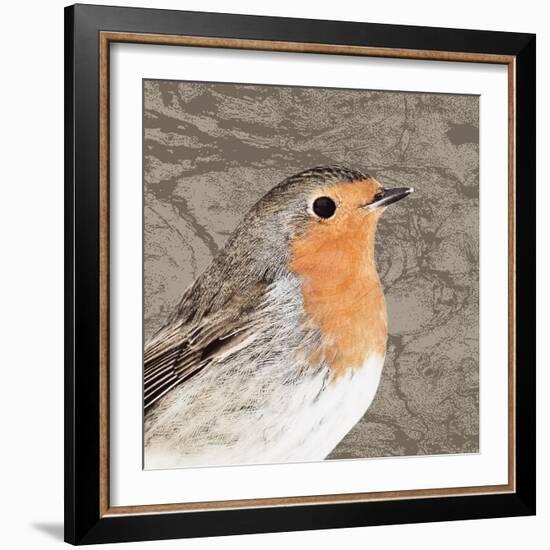 Feathered V-Anna Polanski-Framed Art Print