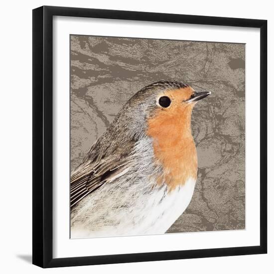 Feathered V-Anna Polanski-Framed Art Print