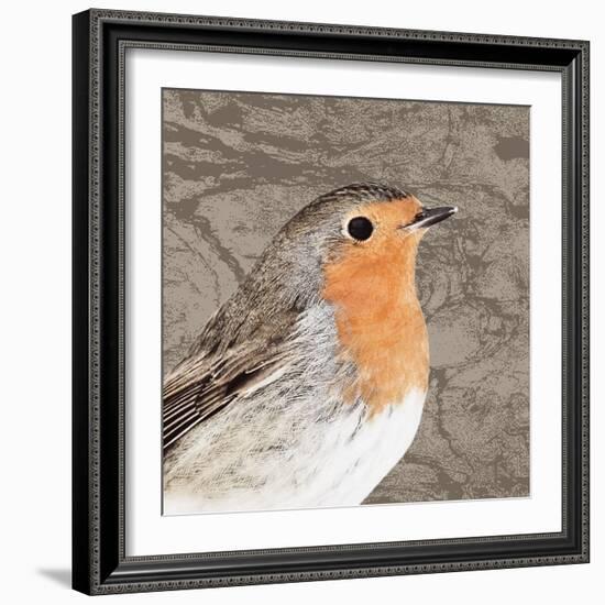 Feathered V-Anna Polanski-Framed Art Print