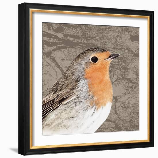 Feathered V-Anna Polanski-Framed Art Print