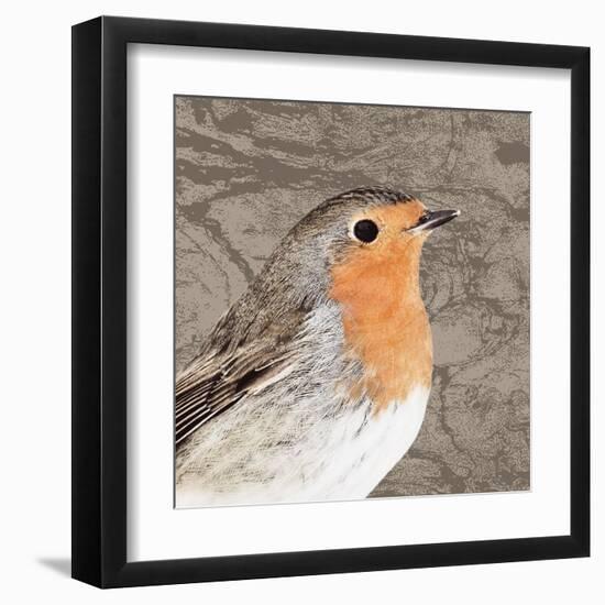 Feathered V-Anna Polanski-Framed Art Print