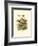 Feathering Nest IV-null-Framed Art Print