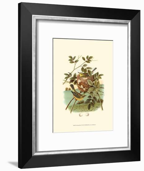 Feathering Nest IV-null-Framed Art Print