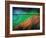 Featherlight-Ursula Abresch-Framed Photographic Print