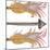 Feathers And Arrows II-Elizabeth Medley-Mounted Art Print