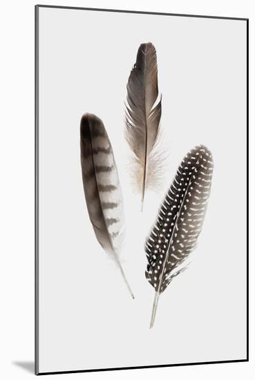 Feathers I-PI Studio-Mounted Art Print