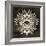 Feathers Mandala I-null-Framed Premium Giclee Print