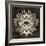 Feathers Mandala I-null-Framed Premium Giclee Print