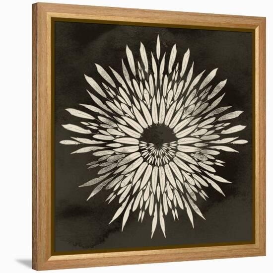 Feathers Mandala I-null-Framed Stretched Canvas
