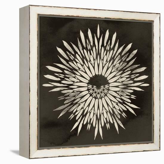 Feathers Mandala I-null-Framed Stretched Canvas