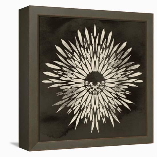 Feathers Mandala I-null-Framed Stretched Canvas