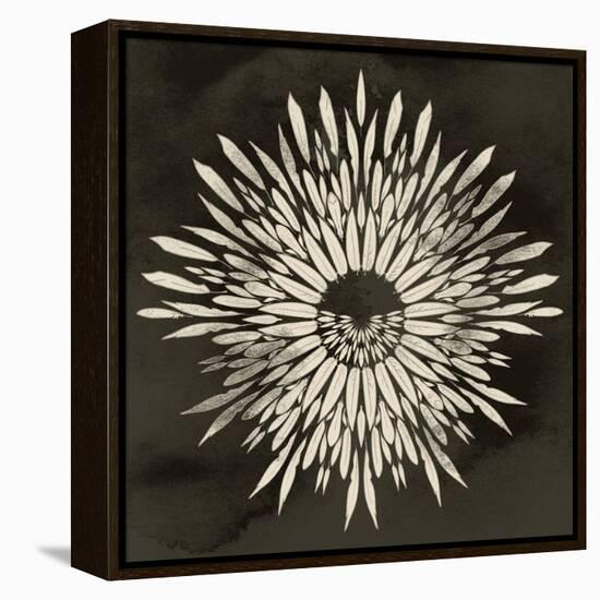 Feathers Mandala I-null-Framed Stretched Canvas