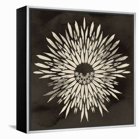 Feathers Mandala I-null-Framed Stretched Canvas