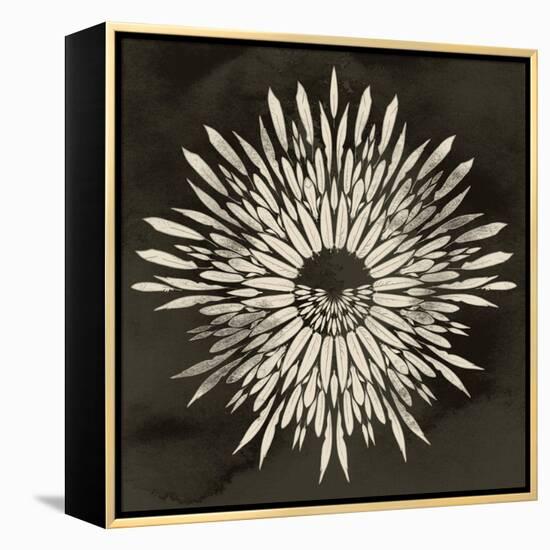 Feathers Mandala I-null-Framed Stretched Canvas