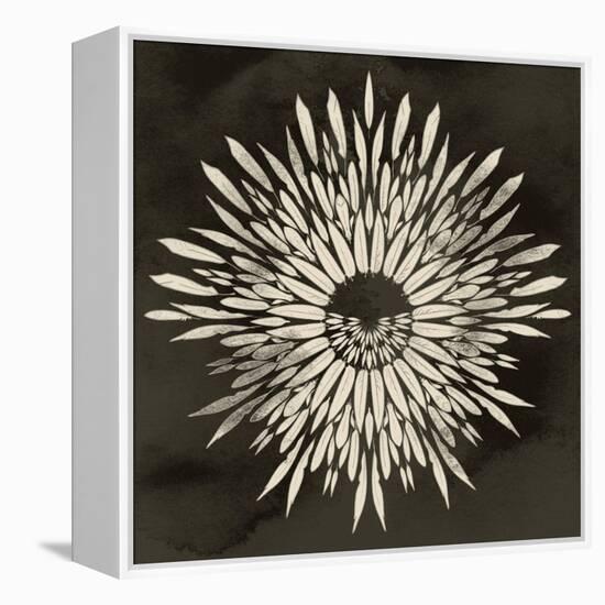 Feathers Mandala I-null-Framed Stretched Canvas