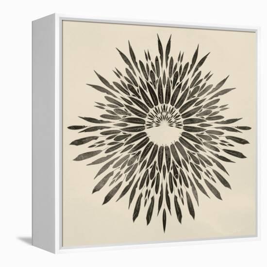 Feathers Mandala II-null-Framed Stretched Canvas