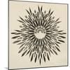 Feathers Mandala II-null-Mounted Art Print