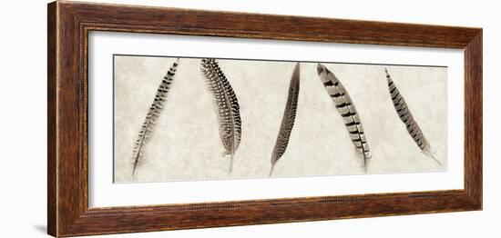 Feathers Panel #1-Alan Blaustein-Framed Photographic Print