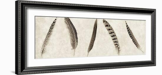 Feathers Panel #1-Alan Blaustein-Framed Photographic Print