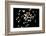 Feathers-Charles Bowman-Framed Photographic Print