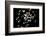 Feathers-Charles Bowman-Framed Photographic Print