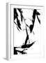 Feathery Streak-null-Framed Giclee Print