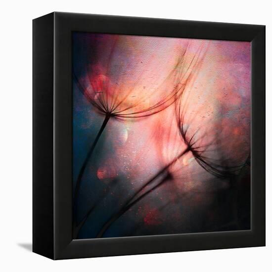 Feathery-Ursula Abresch-Framed Premier Image Canvas