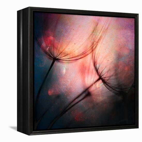 Feathery-Ursula Abresch-Framed Premier Image Canvas