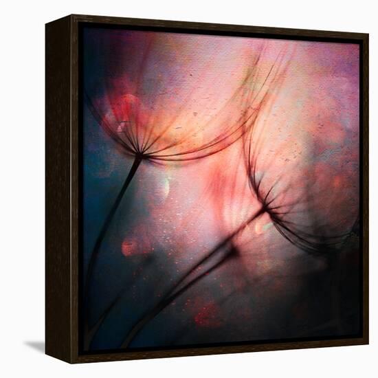 Feathery-Ursula Abresch-Framed Premier Image Canvas