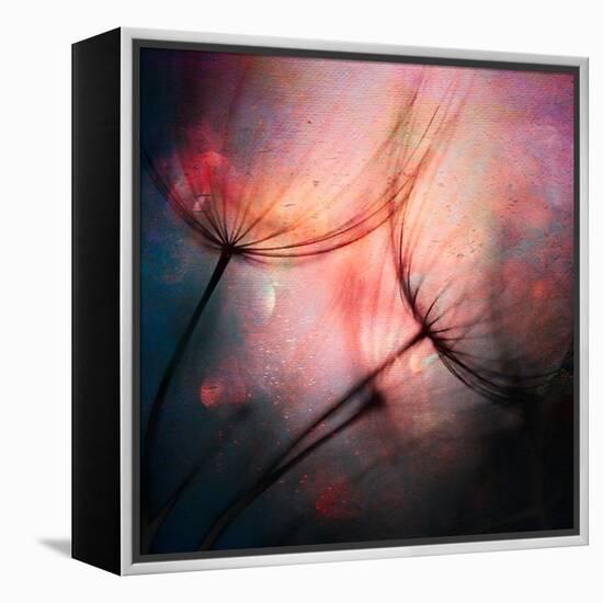 Feathery-Ursula Abresch-Framed Premier Image Canvas