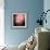 Feathery-Ursula Abresch-Framed Photographic Print displayed on a wall