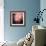 Feathery-Ursula Abresch-Framed Photographic Print displayed on a wall