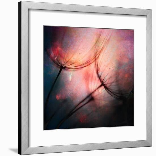 Feathery-Ursula Abresch-Framed Photographic Print