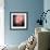 Feathery-Ursula Abresch-Framed Photographic Print displayed on a wall
