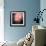 Feathery-Ursula Abresch-Framed Photographic Print displayed on a wall