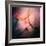 Feathery-Ursula Abresch-Framed Photographic Print