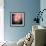 Feathery-Ursula Abresch-Framed Photographic Print displayed on a wall