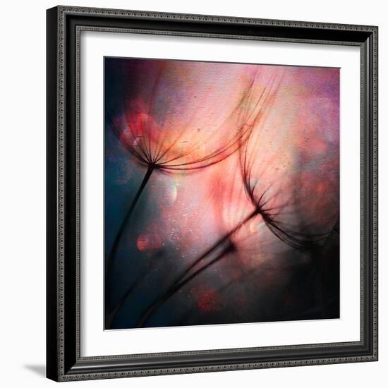 Feathery-Ursula Abresch-Framed Photographic Print