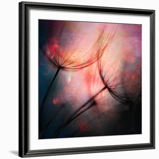 Feathery-Ursula Abresch-Framed Giclee Print