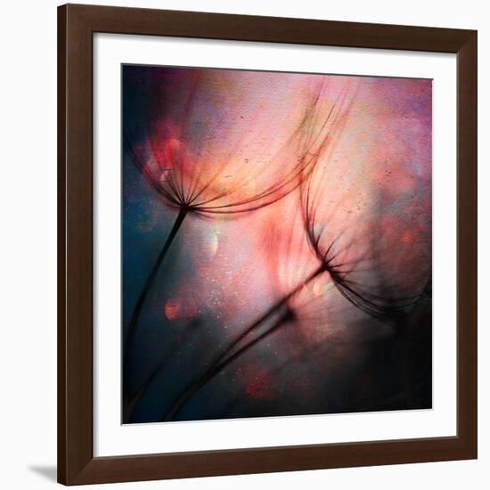 Feathery-Ursula Abresch-Framed Giclee Print