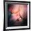 Feathery-Ursula Abresch-Framed Giclee Print