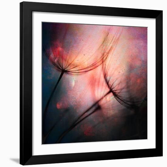 Feathery-Ursula Abresch-Framed Giclee Print