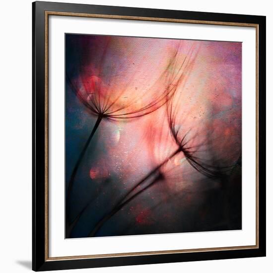 Feathery-Ursula Abresch-Framed Giclee Print