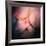 Feathery-Ursula Abresch-Framed Giclee Print