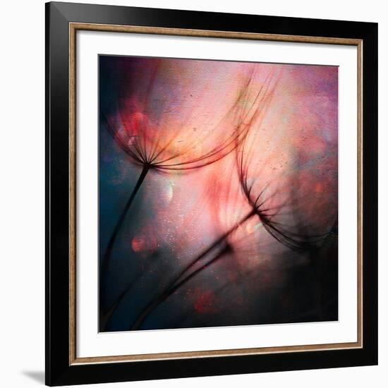 Feathery-Ursula Abresch-Framed Giclee Print